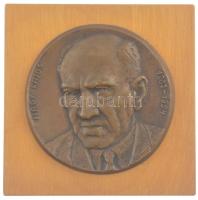 Domonkos Béla (1934-) DN Nagy Lajos 1883-1954 egyoldalas öntött bronz emlékplakett (~105mm) fa talapzatra erősítve, melynek hátulján akasztást segítő lyuk (140x140mm) T:1