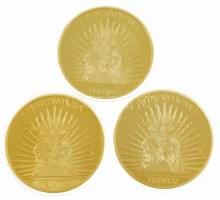 DN "NON NOBIS DOMINE, NON NOBIS, SED NOMINI TUO DA GLORIAM" aranyozott, részben multicolor...