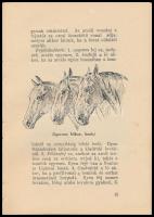 Mikecz Béla: Lóismeret-vezérfonal. Bp.,[1936.],Monopol, 128 p. Első kiadás. Gazdag képanyaggal illus...