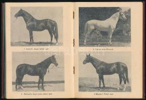 Mikecz Béla: Lóismeret-vezérfonal. Bp.,[1936.],Monopol, 128 p. Első kiadás. Gazdag képanyaggal illus...