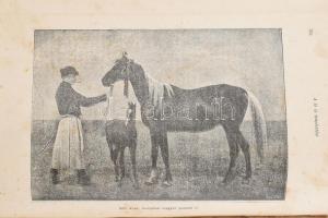 Kovácsy Béla - Monostori Károly: A ló és tenyésztése. 600 képpel, 14 műmelléklettel és 1 színes lóte...