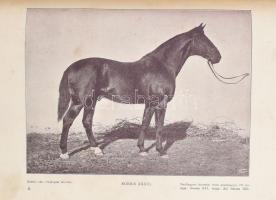 Kovácsy Béla - Monostori Károly: A ló és tenyésztése. 600 képpel, 14 műmelléklettel és 1 színes lóte...