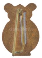 1904. "Evangélikus Dalkör" zománcozott fém jelvény T:1- apró zománchibák