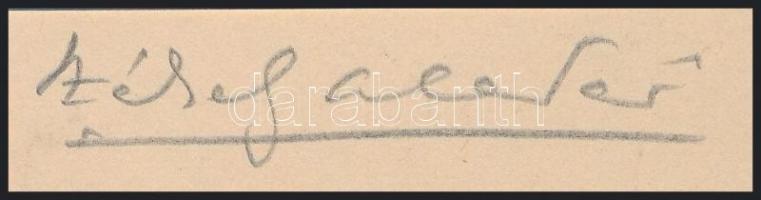 Ady Endre (1877-1919) portréja, nagyméretű fotó kartonra ragasztva, Székely Aladár felvétele, ceruzá...