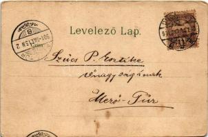 1901 Budapest VI. Váci körút (ma Bajcsy-Zsilinszky út) Gustav Ertel litho (EB)