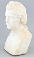 Johann Christoph Friedrich Schiller márvány büszt, jelzés nélkül, korának megfelelő sérülésekkel, m: 26 cm