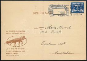 Netherlands 1945, Hollandia 1945