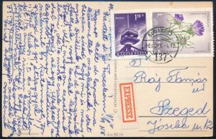 1968 Raj Tamás (1940-2010) főrabbi, történész, író részére küldött, édesanyja által írt levelezőlap Szegedre