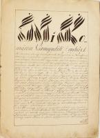 1818 Sárközy család nemességlevelének Komárom megyei közgyűlés előtt való kihirdetéséről szóló dísz jegyzőkönyv