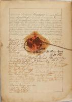 1818 Sárközy család nemességlevelének Komárom megyei közgyűlés előtt való kihirdetéséről szóló dísz ...