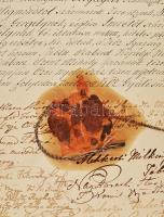 1818 Sárközy család nemességlevelének Komárom megyei közgyűlés előtt való kihirdetéséről szóló dísz ...