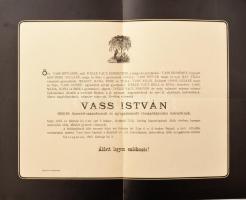 1893 Vass István 1848/49. honvéd százados halálozási értesítője, lapszéli kisebb szakadásokkal