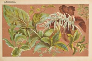 Kardos Árpád: Házi- és udvarkertek berendezése. Bp., Pátria. Kiadói foltos félvászon kötés, kopottas...