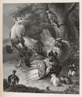 Görling, Adolph: Belvedere oder die Galerien von Wien. Leipzig/ Dresden, Verlag der Englischen Kunst...