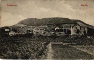 1910 Badacsony, nyaralók, szőlőskert (EK)