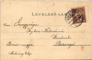 1901 Esztergom, vasúti híd, Bazilika. Ottmar Zieher Art Nouveau, floral, litho