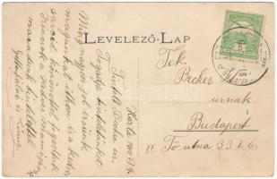 1910 Harta (Kalocsa), Polgár lakodalom. Molnár Gyula kiadása, Klein J. fényképész felvétele (EB)