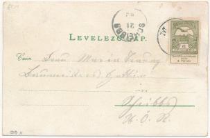 1902 Mór, Moór; Vértes-hegy, Fő utca, Wiesner János üzlete és saját kiadása, Art Nouveau, floral (fl...