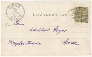 1893 (Vorläufer) Budapest, Királyi vár és várbazár, Lánchíd. Art Nouveau, floral, litho