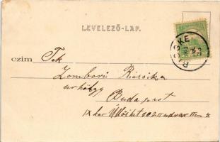 1903 Bicske, indóház, vasútállomás, gőzmozdony, vonat. Huszár László kiadása (EK)