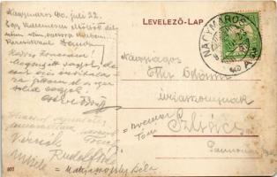 1910 Nagymaros, utca, Wieszl Márton üzlete, Angyal cukrászda, Korona kávéház és vendéglő terasza (fl...