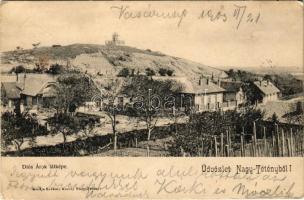 1903 Budapest XXII. Nagytétény, Nagy-Tétény; Diósárok (Diós árok), szőlőskertek. Szakály Károly kiadása (EK)