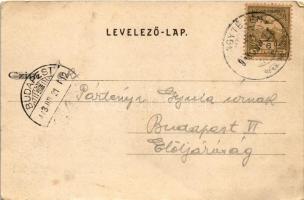 1903 Budapest XXII. Nagytétény, Nagy-Tétény; Diósárok (Diós árok), szőlőskertek. Szakály Károly kiad...