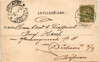 1904 Kecskemét, Fő tér, piac árusokkal, zsinagóga, üzletek. Komor Gyula kiadása