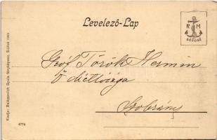 Badacsony, Neptun szálloda, út, szőlőskert. Balázsovich Gyula fényképész kiadása (EK)