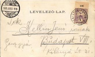 1900 Balatonfüred, Vaszary hercegprímás nyaralója. Art Nouveau, floral, Weiss L. és F. kiadása (fl)