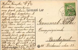 1910 Fonyód, Balatonfonyód; nyaralók, szőlőhegy. Sipos Flóra kiadása