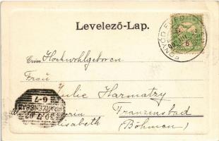 1902 Fonyód-fürdőtelep, vasútállomás, gőzmozdony, vonat. Gerő Zs. kiadása (EK)