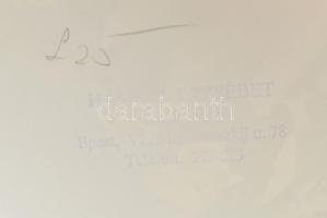 Hámori Erzsébet 2 db pecséttel jelzett fotója: Rodolfó, Kállai és más színészek 16x12 cm