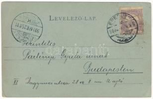 1900 Eperjes, Presov; Izraelita neológ templom és népiskola este, zsinagóga / synagogue and school a...