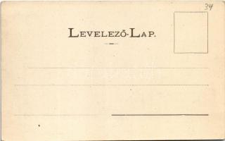 Besztercebánya, Banská Bystrica; Kossuth Lajos utca, Holesch Árpád üzlete, dohány tőzsde, gyógyszert...