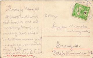 Újvidék, Neusatz, Novi Sad; Duna utca villamossal, Gortán és Donáti üzlete, Singer J. udvari fénykép...