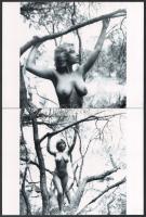 cca 1988 Menesdorfer Lajos (1941-2005) budapesti fotóművész hagyatékából, 3 db vintage NEGATÍV (6x6 cm) hozzáadva 3 db modern nagyításban készült nézőképet (fészekrakó program), 24x17,7 cm