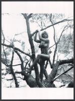 cca 1988 Menesdorfer Lajos (1941-2005) budapesti fotóművész hagyatékából, 3 db vintage NEGATÍV (6x6 ...