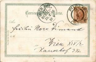 1897 (Vorläufer!) Plzen, Pilsen; Stadtansicht, Stadtpark, Gymnasium, Bürgerliches Bräuhaus, Erste Pi...