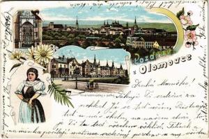 1902 Olomouc, Olmütz; Nové letohradky u parku / villas, general view. Art Nouveau, floral, litho (small tears)