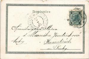 1902 Olomouc, Olmütz; Nové letohradky u parku / villas, general view. Art Nouveau, floral, litho (sm...