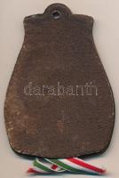 Fritz Mihály (1947-) 1996. "A Honfoglalás emlékére 896-1896 / Árpád nagyfejedelem" bronz e...