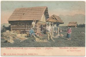 Vázsec, Liptóvázsec, Vágfalva, Vazec; Tótok kunyhója. Feitzinger Ede 1904-14. 673. Ps. / Slovaken m. Hütte / Slovakian folklore (fl)