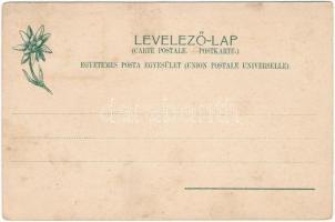 Vázsec, Liptóvázsec, Vágfalva, Vazec; Tótok kunyhója. Feitzinger Ede 1904-14. 673. Ps. / Slovaken m....