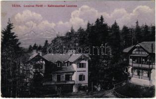 1918 Lucsivna, Lautschburg, Lucivná (Magas-Tátra, Vysoké Tatry); fürdő, nyaralók. Kiadja Feitzinger Ede No. 401. 1916 / spa, bath, villas / Kaltwasserbad (Rb)