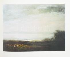 Heitler László: Vágfalvi Ottó. Festő a Balatonnál. A festő, Vágfalvi Ottó (1925 - 2015) által DEDIKÁ...