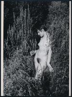 cca 1974 ,,Az erdőkerülő visszatérő álma, szolidan erotikus felvétel, 1 db mai nagyítás, 24x17,7 cm