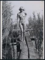 cca 1979 ,,De hová lett a fürdő rucim?, dilemma a Velencei tó egyik stégjén, szolidan erotikus felvétel, 1 db mai nagyítás, 24x17,7 cm