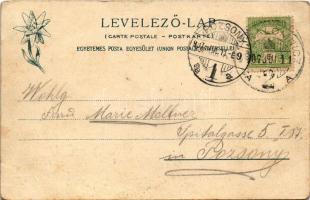 1907 Barlangliget, Höhlenhain, Tatranská Kotlina (Magas-Tátra, Vysoké Tatry); Mária és Szepes-Béla v...