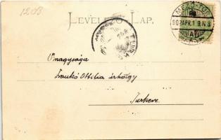 1902 Mezőtúr, látkép